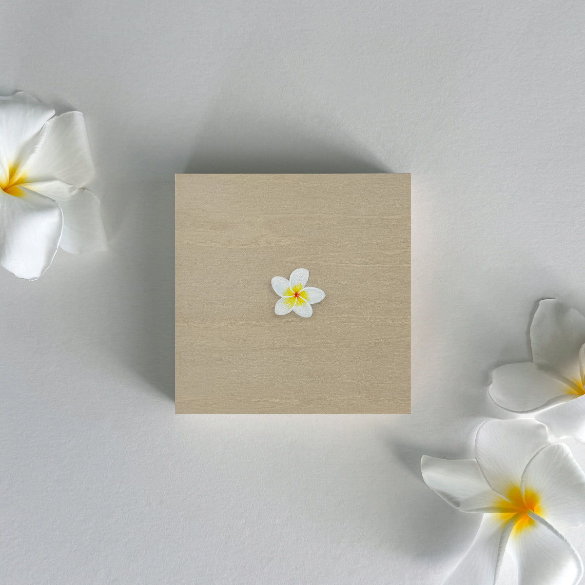 "Plumeria" by Faisal Warsani