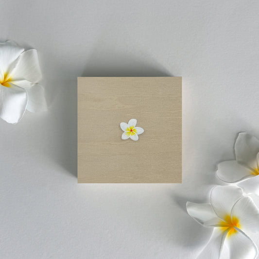 "Plumeria" by Faisal Warsani